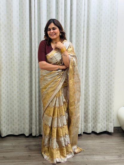 Silver-Golden Tissue Brocade Saree